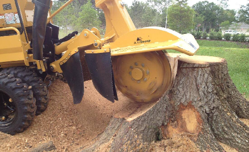 stump grinding services in Manassas