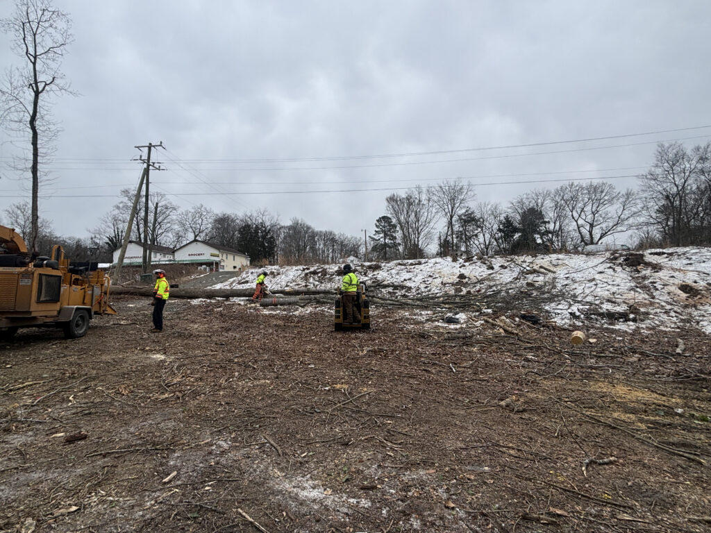 land clearing services in Manassas