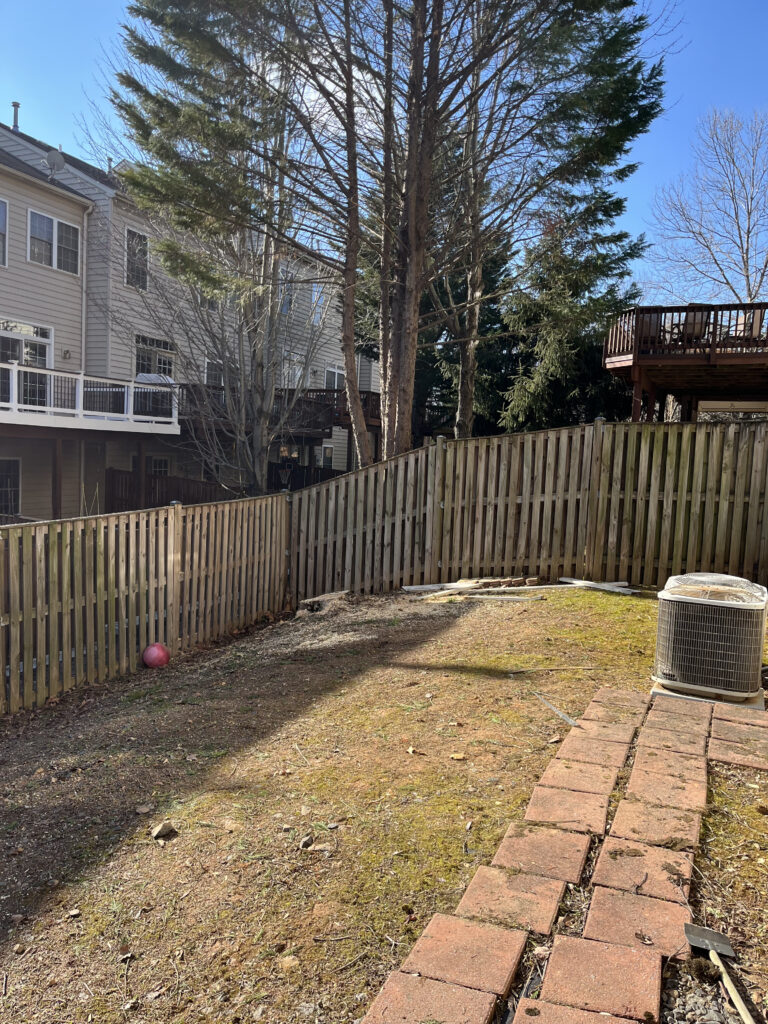 tree care landscaping