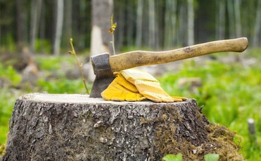 Tree Stump Removal Northern VA