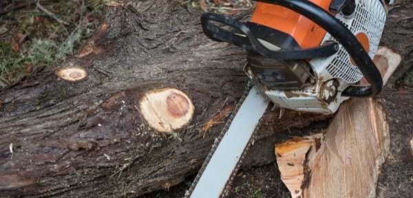 How To Cut Down A Tall Tree By Yourself