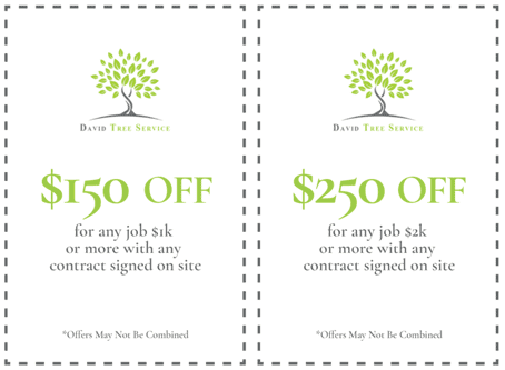 Special Coupons For Tree Removal Near Dc.