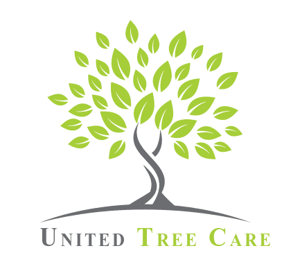 United Tree Care
