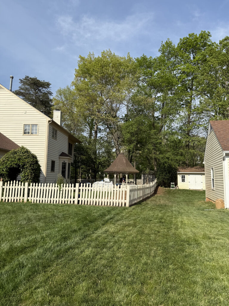 professional Tree Service in Wellington Manassas